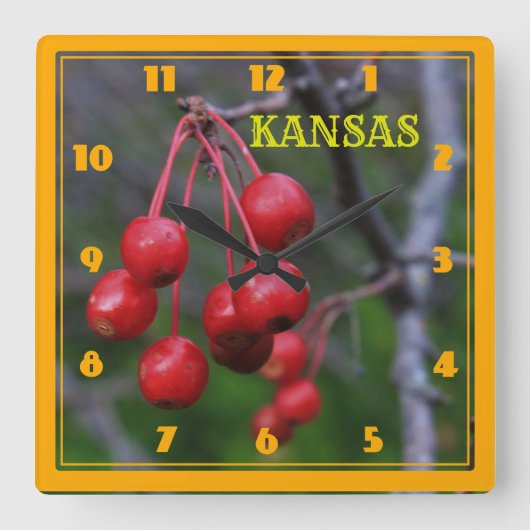 Kansas Red Cherry's closeup Square Wall Clock Vierkante Klok (Voorkant)