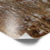 Kansas Red Country Barn Foto Uitbreiding Foto Afdruk (Hoek)