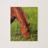 Kansas Red Horse Legpuzzel (Verticaal)