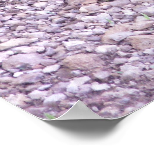 Kansas Snapping Turtle Poster (Hoek)