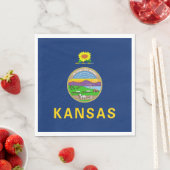 Kansas Staatsvlag Servet (Insitu)