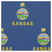 Kansas Staatsvlag Stof (Close Up)