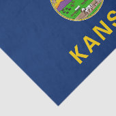 Kansas Staatsvlag Tissuepapier (Detail)