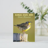 Kansas State Bird - Westerne Meadowlark Briefkaart (Staand voorkant)