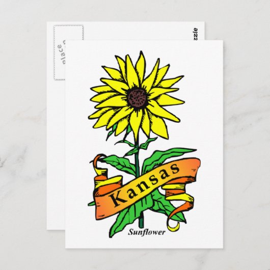 Kansas State Flower Briefkaart (Voorkant / Achterkant)