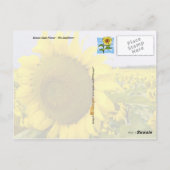 Kansas State Flower - The Sunflower Briefkaart (Achterkant)