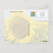 Kansas State Flower - The Sunflower Briefkaart (Achterkant)