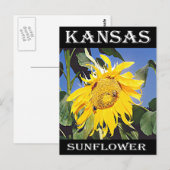 Kansas Sunflower Briefkaart (Voorkant / Achterkant)