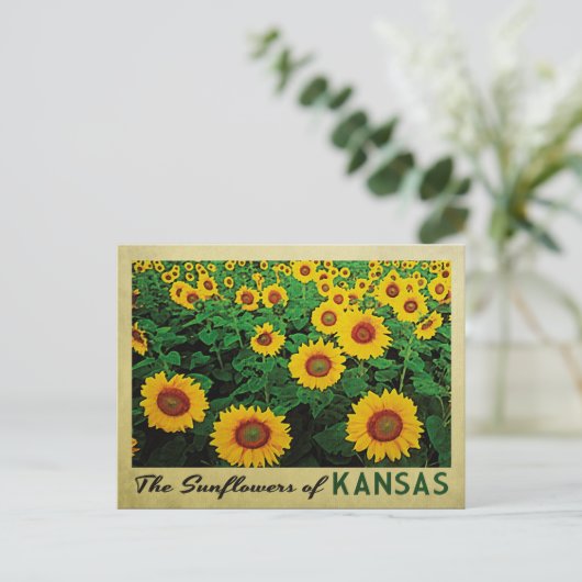 Kansas Sunflower Briefkaart (Staand voorkant)