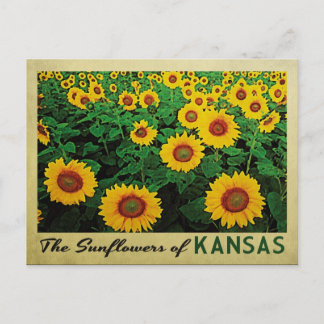Kansas Sunflower Briefkaart