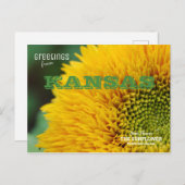 Kansas Sunflower Greetings Briefkaart (Voorkant / Achterkant)