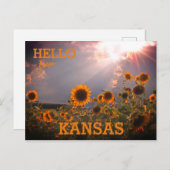 Kansas Sunflower Greetings Briefkaart (Voorkant / Achterkant)