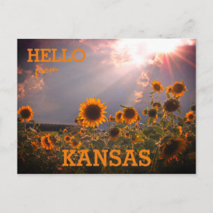 Kansas Sunflower Greetings Briefkaart