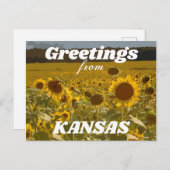 Kansas Sunflower Greetings Briefkaart (Voorkant / Achterkant)