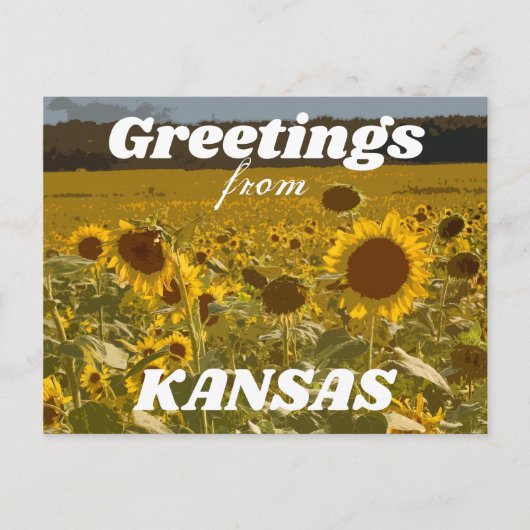 Kansas Sunflower Greetings Briefkaart (Voorkant)