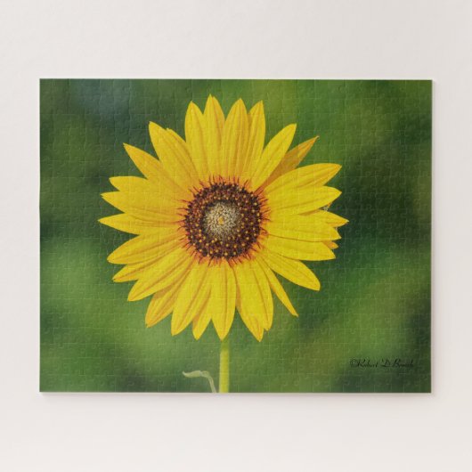 Kansas Sunflower Legpuzzel (Horizontaal)