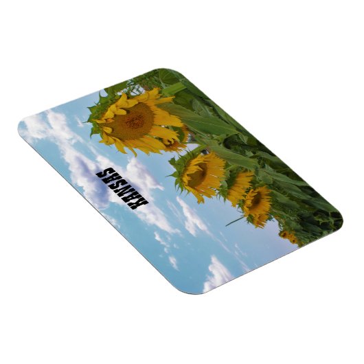 Kansas Sunflower Magneet (Rechterzijde)