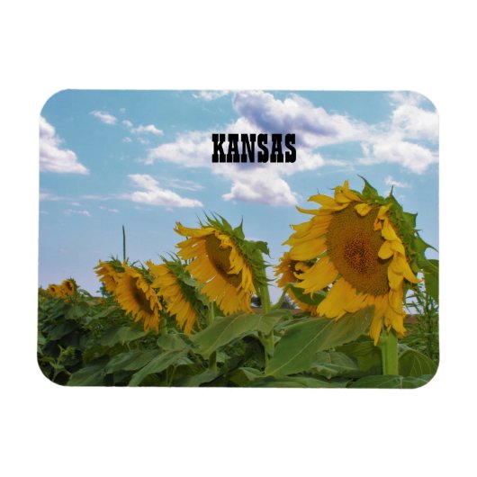 Kansas Sunflower Magneet (Horizontaal)