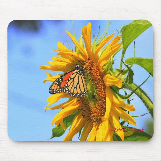 Kansas Sunflower met Monarch Butterfly Muismat (Voorkant)