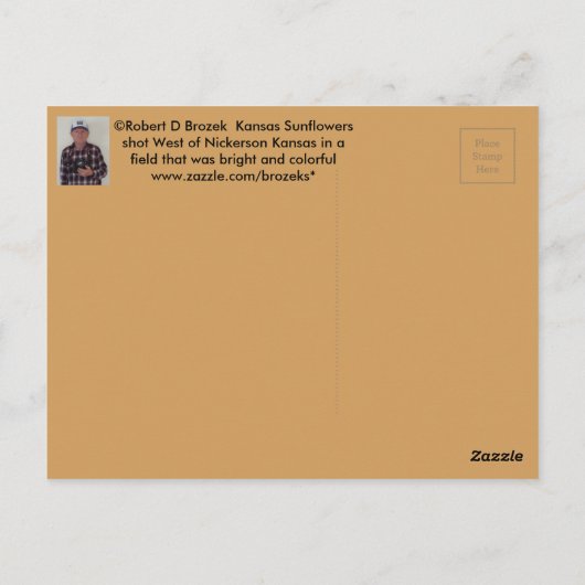 Kansas Sunflower POST CARD Briefkaart (Achterkant)