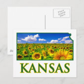 Kansas Sunflower Sky Briefkaart (Voorkant / Achterkant)