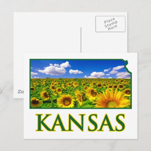 Kansas Sunflower Sky Briefkaart (Voorkant / Achterkant)
