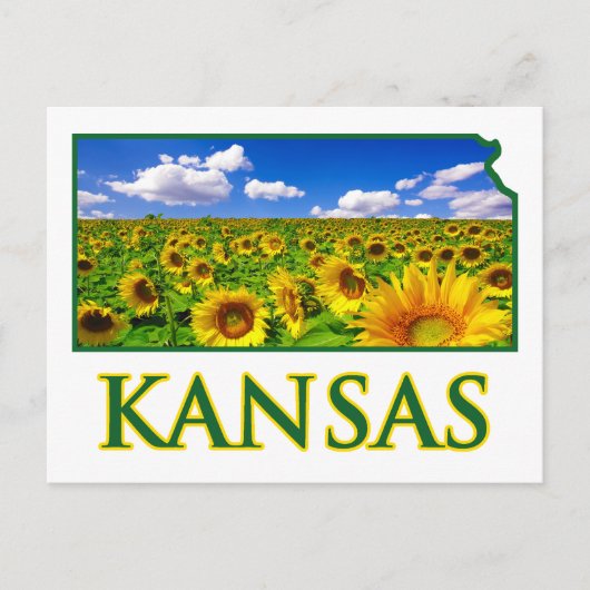 Kansas Sunflower Sky Briefkaart (Voorkant)