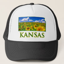 Kansas Sunflower Sky