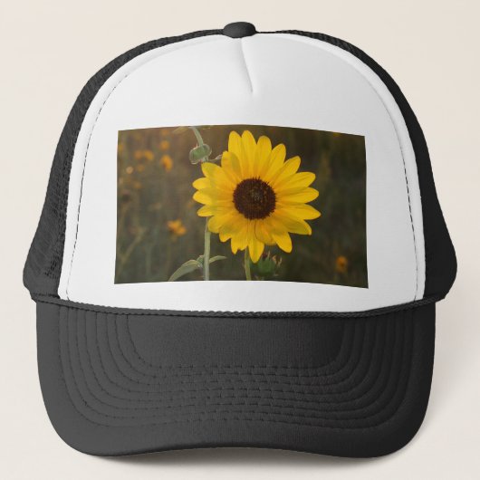 Kansas Sunflower Trucker Pet (Voorkant)