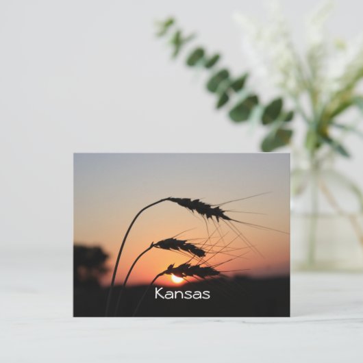 Kansas Sunset Briefkaart (Staand voorkant)
