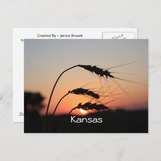 Kansas Sunset Briefkaart (Voorkant / Achterkant)