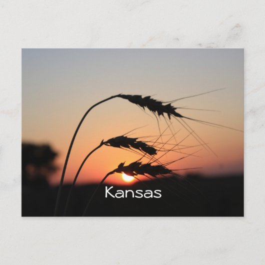Kansas Sunset Briefkaart (Voorkant)