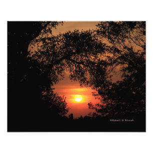 Kansas Sunset met een Boom Foto Uitbreiding Afdruk