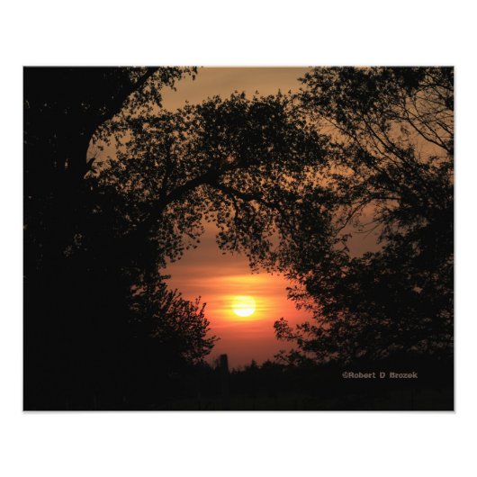 Kansas Sunset met een Boom Foto Uitbreiding Afdruk (Voorkant)