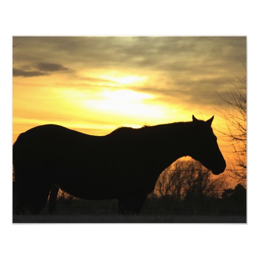 Kansas Sunset silhouette Horse in a Pasture Foto Afdruk (Voorkant)