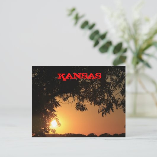 Kansas Sunset with Tree Silhouette Post Kaart (Staand voorkant)