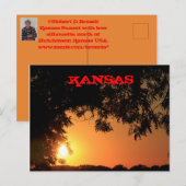 Kansas Sunset with Tree Silhouette Post Kaart (Voorkant / Achterkant)