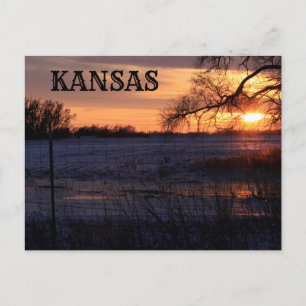 Kansas Sunset with Tree Silhouette Post Kaart