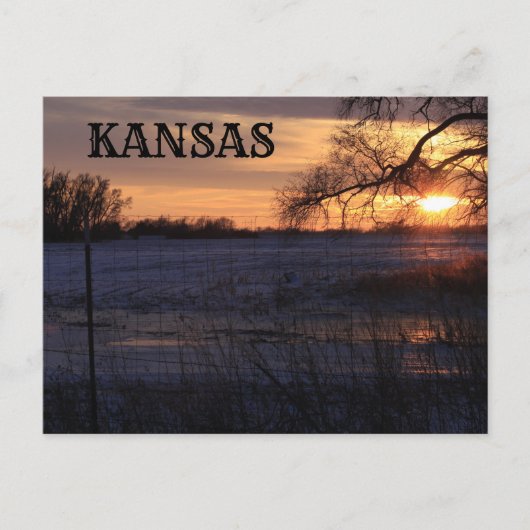 Kansas Sunset with Tree Silhouette Post Kaart (Voorkant)