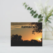 Kansas Sunset with Tree Silhouette Post Kaart (Staand voorkant)