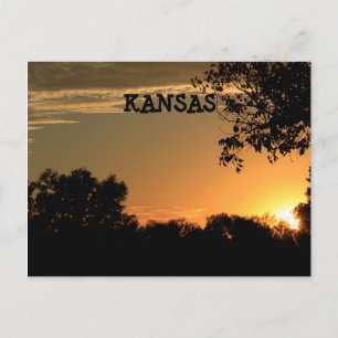 Kansas Sunset with Tree Silhouette Post Kaart