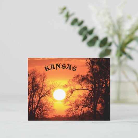 Kansas Sunset with Tree Silhouette Post Kaart (Staand voorkant)