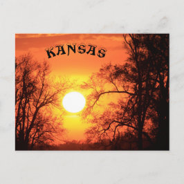 Kansas Sunset with Tree Silhouette Post Kaart