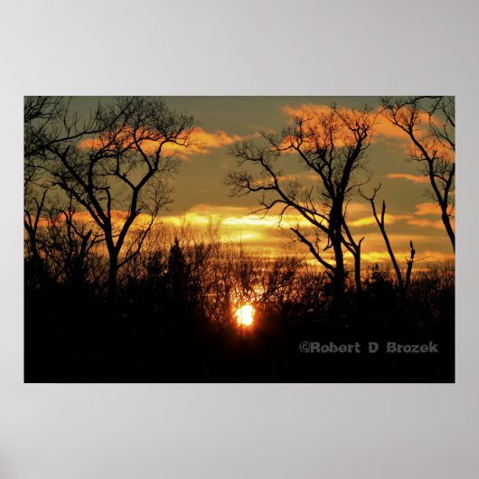 Kansas Sunset with Tree Silhouette, Poster van wol (Voorkant)