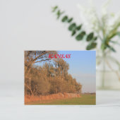 Kansas tarweveld met bomen Post Kaart (Staand voorkant)