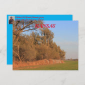 Kansas tarweveld met bomen Post Kaart (Voorkant / Achterkant)