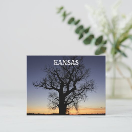 Kansas Tree Silhouette Briefkaart (Staand voorkant)