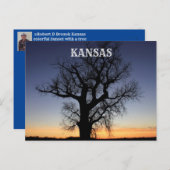 Kansas Tree Silhouette Briefkaart (Voorkant / Achterkant)