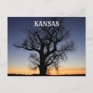 Kansas Tree Silhouette Briefkaart