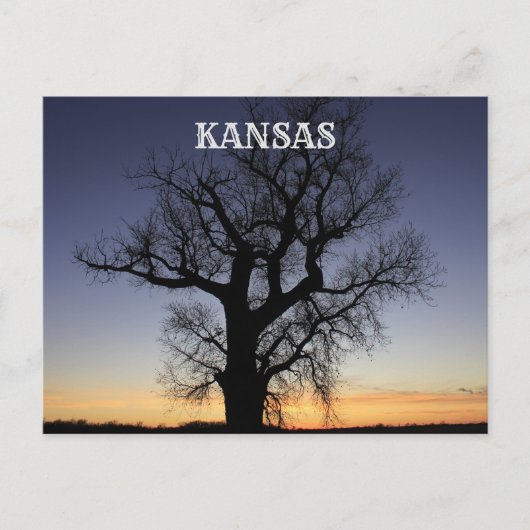 Kansas Tree Silhouette Briefkaart (Voorkant)